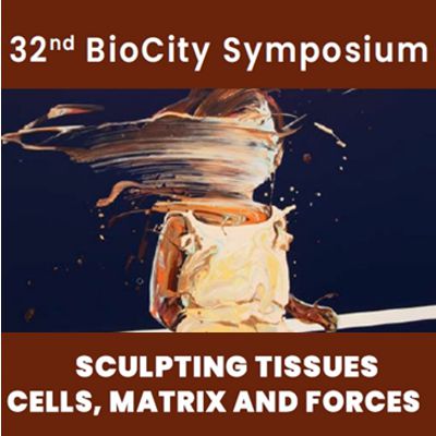 32nd BioCity Symposium: Sculpting tissues – cells, matrix and forces